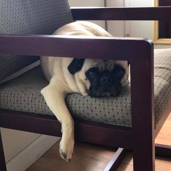 Meet your Posher, Angela - Picture 1 of 1